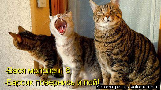 Котоматрица: -Барсик повернись и пой! -Вася молодец! 6