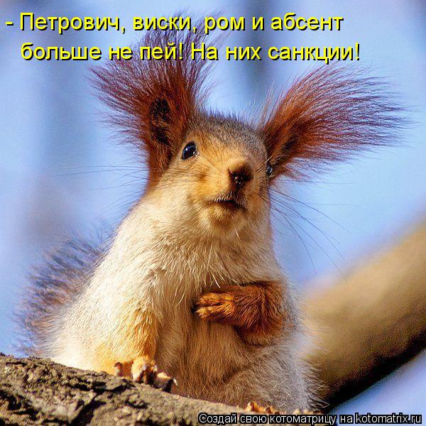 Котоматрица: - Петрович, виски, ром и абсент  больше не пей! На них санкции!