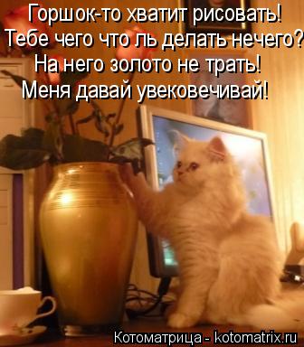 Котоматрица: Тебе чего что ль делать нечего? Меня давай увековечивай! На него золото не трать! Горшок-то хватит рисовать!