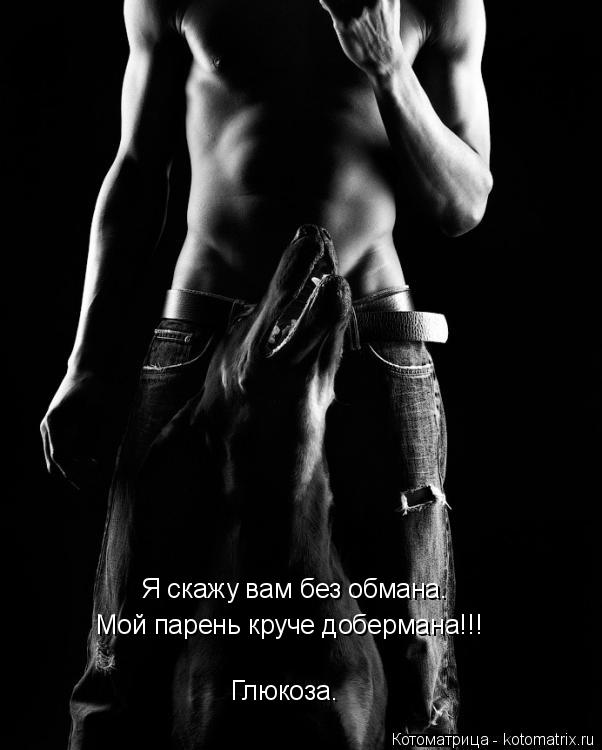 Котоматрица: Я скажу вам без обмана. Мой парень круче добермана!!! Глюкоза.