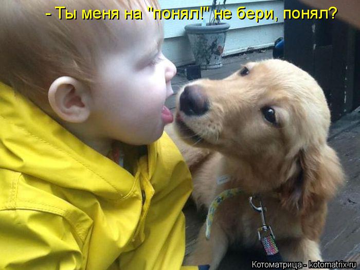 Котоматрица: - Ты меня на "понял!" не бери, понял?
