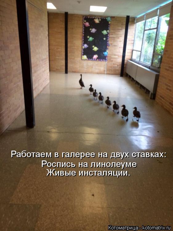 Котоматрица: Работаем в галерее на двух ставках: Роспись на линолеуме  Живые инсталяции.