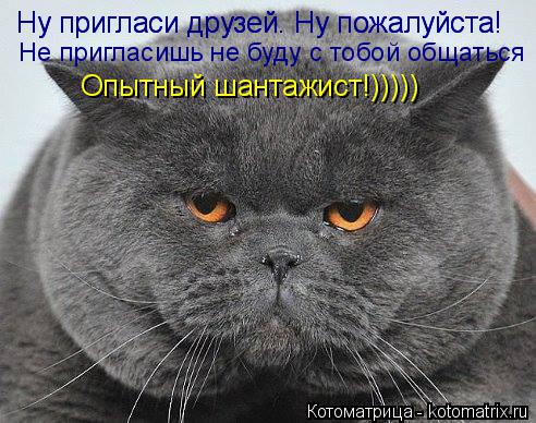 Котоматрица: Ну пригласи друзей. Ну пожалуйста! Не пригласишь не буду с тобой общаться Ну пригласи друзей. Ну пожалуйста! Опытный шантажист!)))))