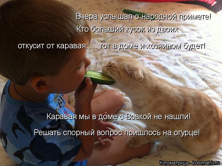 Котоматрица: Вчера услышал о народной примете! Кто больший кусок из двоих .... откусит от каравая..... тот в доме и хозяином будет! Каравая мы в доме с Вовкой 