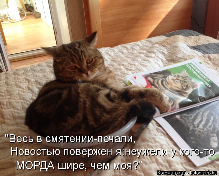 "Весь в смятении-печали, Новостью повержен я:неужели у кого-то МОРДА шире, чем моя?"... Котоматрица: "Весь в смятении-печали, Новостью повержен я:неужели у кого-то МОРДА шире, чем моя?"