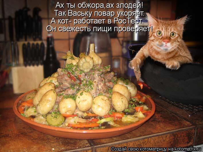 Ах ты обжора,ах злодей! Так Ваську повар укоряет. Он свежесть пищи проверяет! А кот- работает в РосТе... Котоматрица: Ах ты обжора,ах злодей! Так Ваську повар укоряет. Он свежесть пищи проверяет! А кот- работает в РосТест.