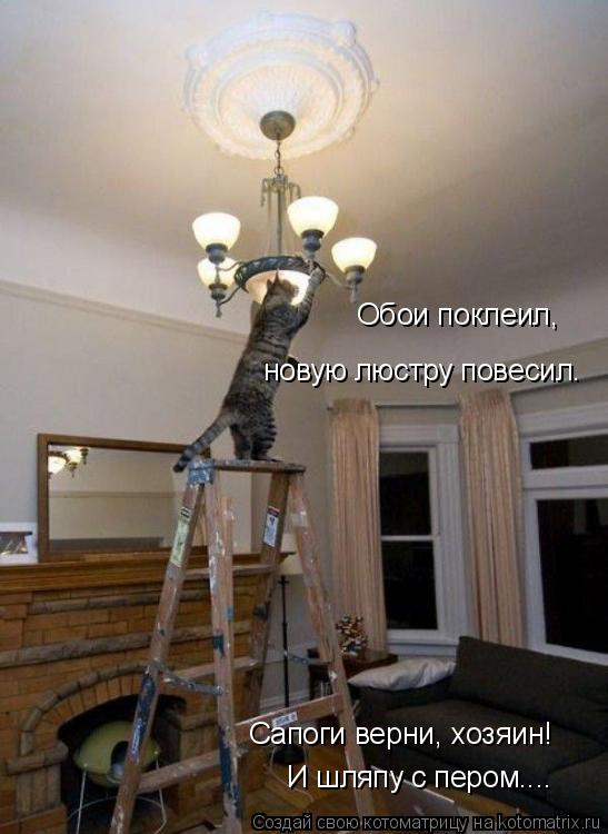 Котоматрица: Обои поклеил, новую люстру повесил. И шляпу с пером.... Сапоги верни, хозяин!