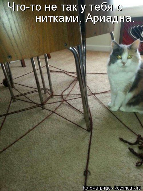 Котоматрица: Что-то не так у тебя с  нитками, Ариадна.