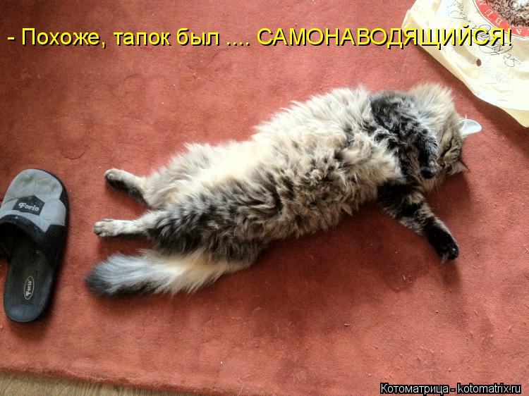 - Похоже, тапок был .... САМОНАВОДЯЩИЙСЯ!... Котоматрица: - Похоже, тапок был .... САМОНАВОДЯЩИЙСЯ!