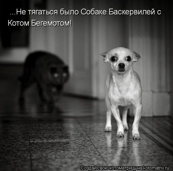 ...Не тягаться было Собаке Баскервилей с Котом Бегемотом!... Котоматрица: ...Не тягаться было Собаке Баскервилей с Котом Бегемотом!