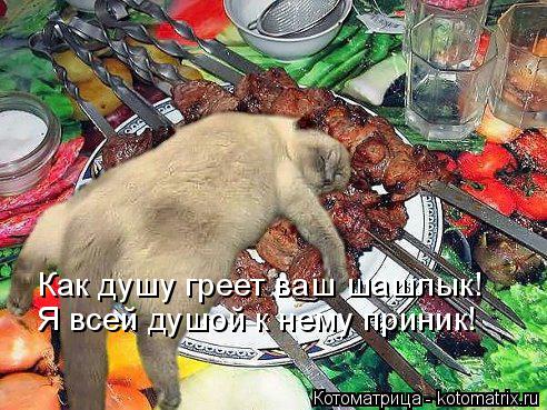 Котоматрица: Как душу греет ваш шашлык! Я всей душой к нему приник!