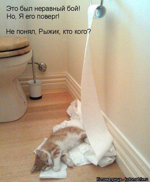 Котоматрица: Это был неравный бой! Но, Я его поверг! Не понял, Рыжик, кто кого?