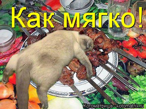 Котоматрица: Как мягко!