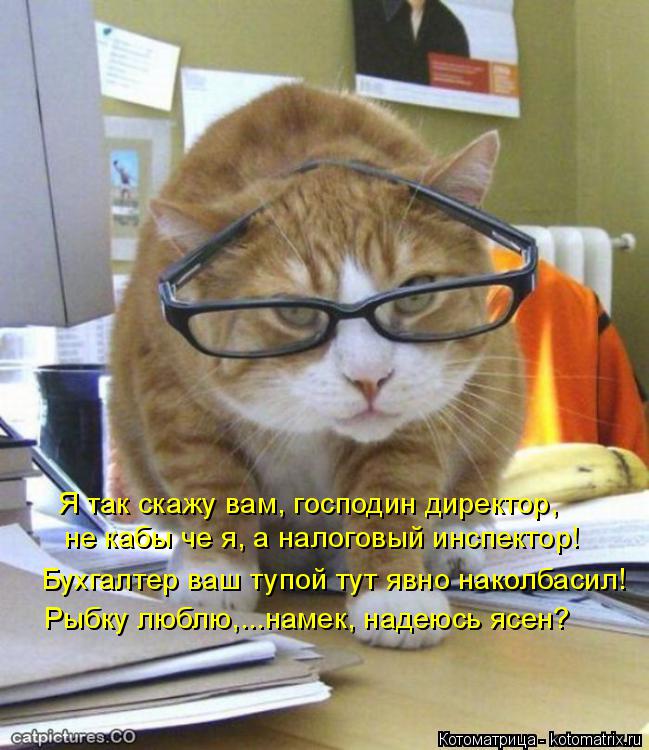 Я так скажу вам, господин директор, не кабы че я, а налоговый инспектор! Бухгалтер ваш тупой тут явно... Котоматрица: Я так скажу вам, господин директор, не кабы че я, а налоговый инспектор! Бухгалтер ваш тупой тут явно наколбасил! Рыбку люблю,...намек, надеюсь