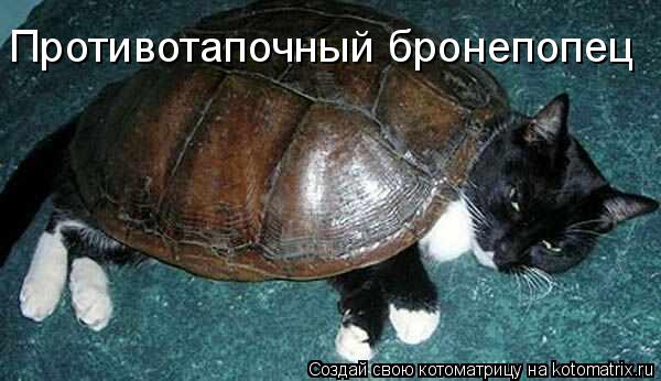 Котоматрица: Противотапочный бронепопец