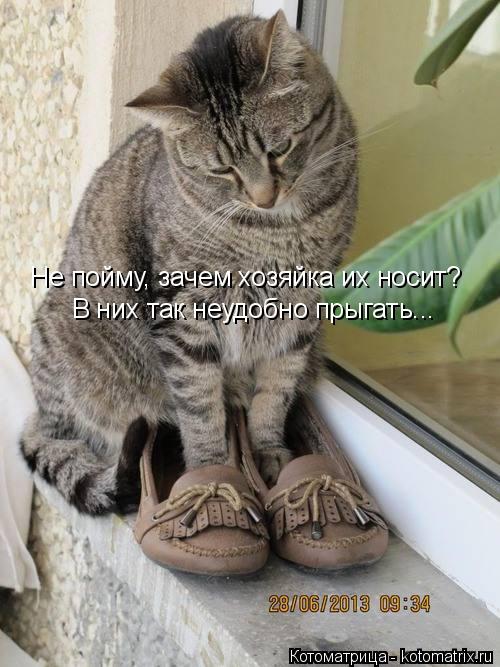 Не пойму, зачем хозяйка их носит? В них так неудобно прыгать...... Котоматрица: Не пойму, зачем хозяйка их носит? В них так неудобно прыгать...
