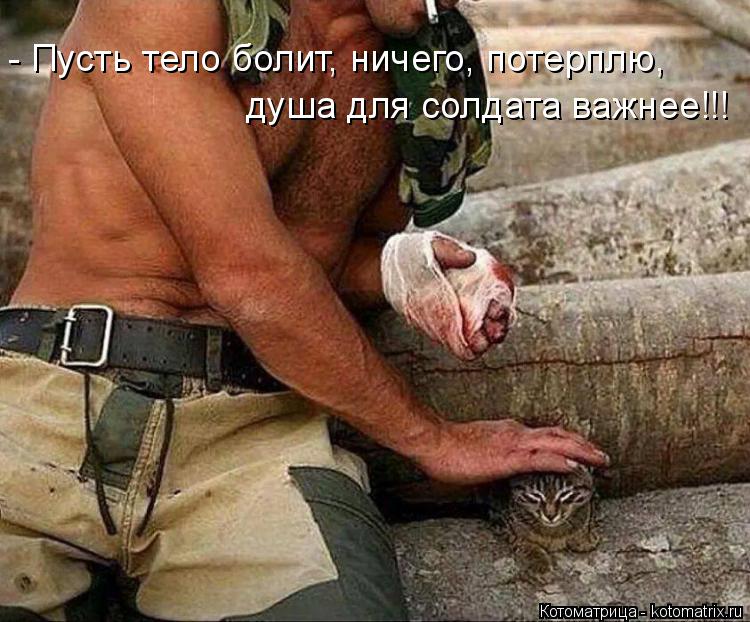 Котоматрица: - Пусть тело болит, ничего, потерплю,  душа для солдата важнее!!!
