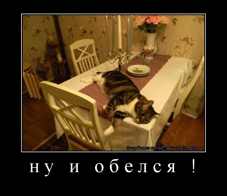 Котоматрица: ну и обелся ! 