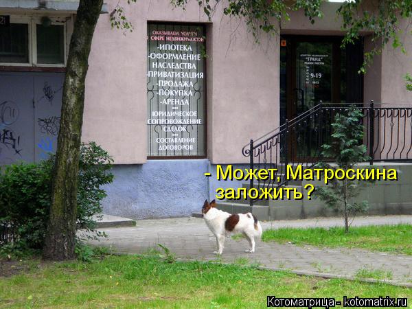 Котоматрица: - Может, Матроскина  заложить?