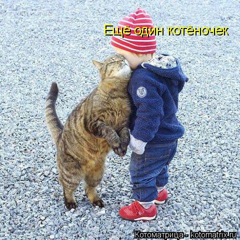 Ещё один котёночек... Котоматрица: Ещё один котёночек