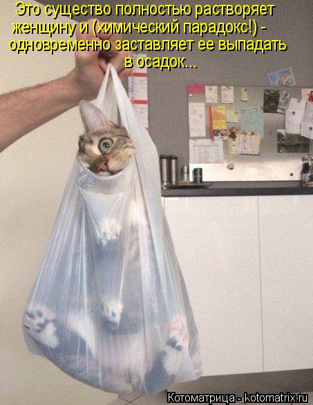 Котоматрица: Это существо полностью растворяет женщину и (химический парадокс!) -  одновременно заставляет ее выпадать в осадок...