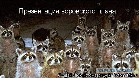 Презентация воровского плана... Котоматрица: Презентация воровского плана
