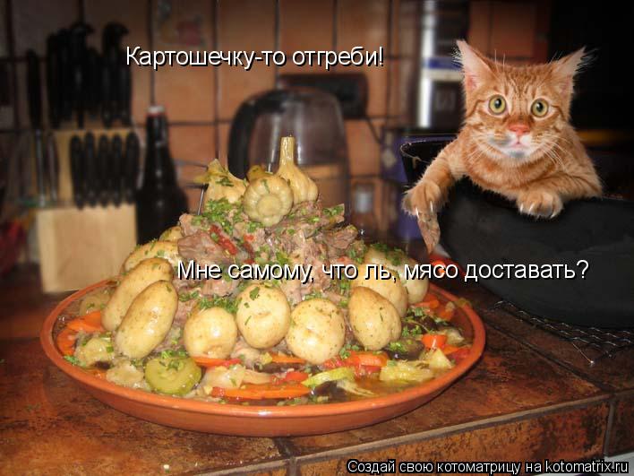 Картошечку-то отгреби! Мне самому, что ль, мясо доставать?... Котоматрица: Картошечку-то отгреби! Мне самому, что ль, мясо доставать?