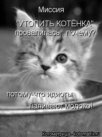 Миссия "УТОПИТЬ КОТЁНКА" провалилась.. почему? потому-что идиоты наливают молоко!... Котоматрица: Миссия "УТОПИТЬ КОТЁНКА" провалилась.. почему? потому-что идиоты наливают молоко!