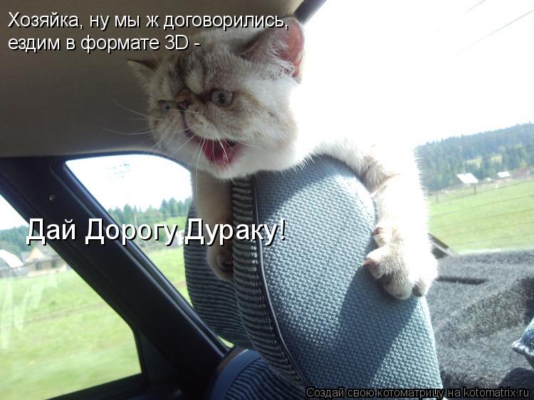 Котоматрица: Хозяйка, ну мы ж договорились,  Дай Дорогу Дураку! ездим в формате 3D -