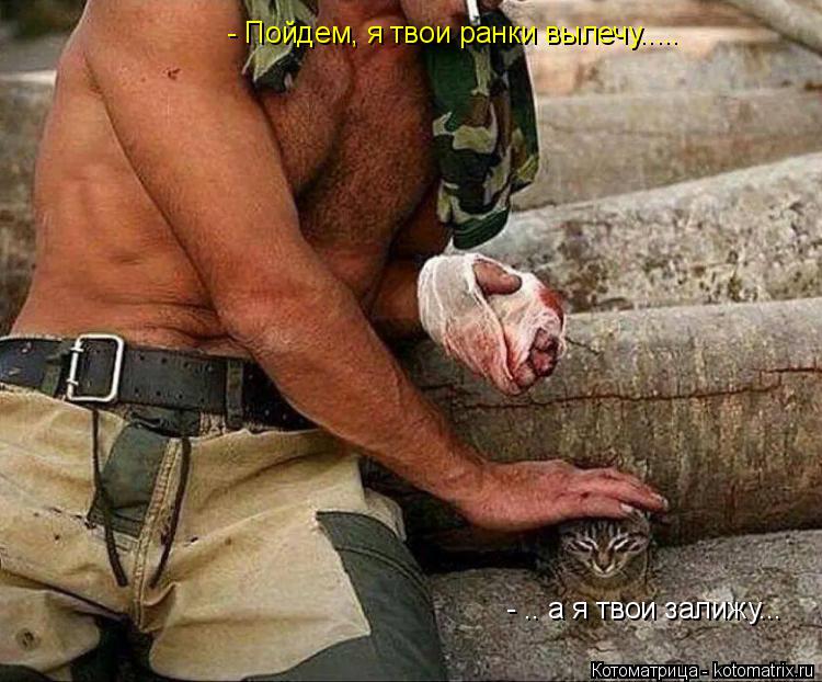 Котоматрица: - Пойдем, я твои ранки вылечу..... - .. а я твои залижу...
