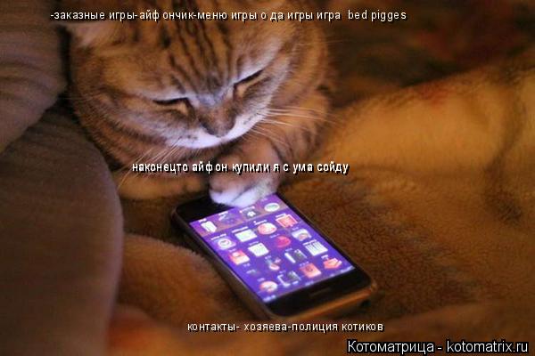 Котоматрица: контакты- хозяева-полиция котиков -заказные игры-айфончик-меню игры о да игры игра  bed pigges наконецто айфон купили я с ума сойду наконецто айф