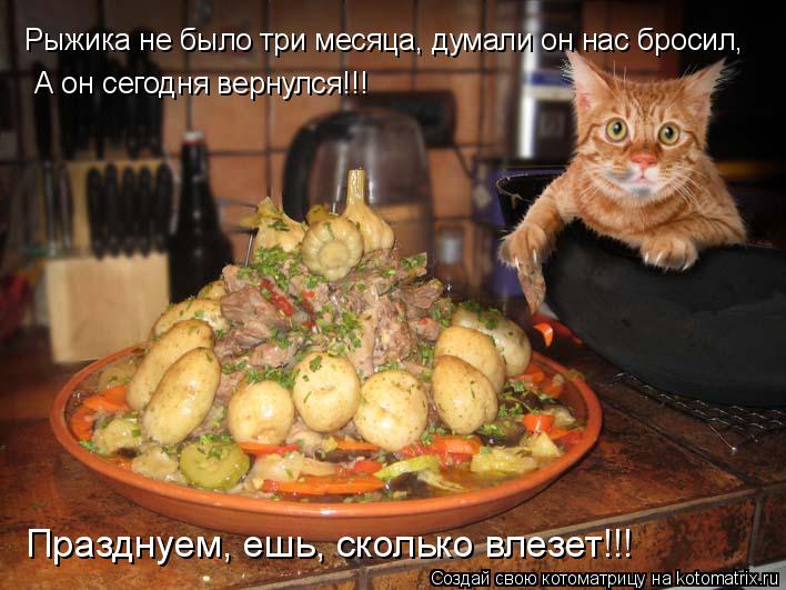 Рыжика не было три месяца, думали он нас бросил, А он сегодня вернулся!!! Празднуем, ешь, сколько вле... Котоматрица: Рыжика не было три месяца, думали он нас бросил, А он сегодня вернулся!!! Празднуем, ешь, сколько влезет!!!
