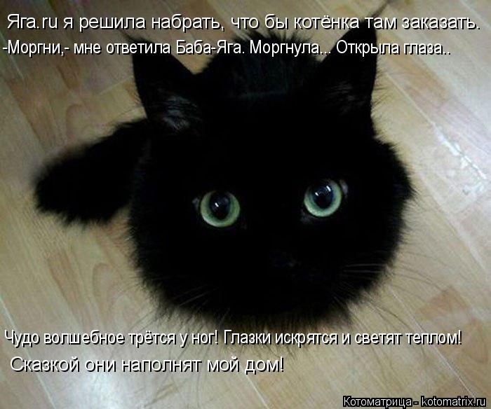Котоматрица: Яга.ru я решила набрать, что бы котёнка там заказать. -Моргни,- мне ответила Баба-Яга. Моргнула... Открыла глаза.. Чудо волшебное трётся у ног! Гл