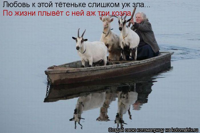 Котоматрица: Любовь к этой тётеньке слишком уж зла... По жизни плывёт с ней аж три козла.