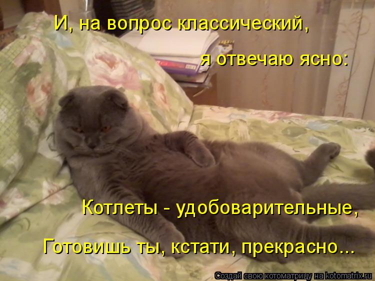Готовишь ты, кстати, прекрасно... Котлеты - удобоварительные, И, на вопрос классический, я отвечаю яс... Котоматрица: Готовишь ты, кстати, прекрасно... Котлеты - удобоварительные, И, на вопрос классический, я отвечаю ясно: