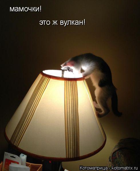 Котоматрица: мамочки! это ж вулкан!