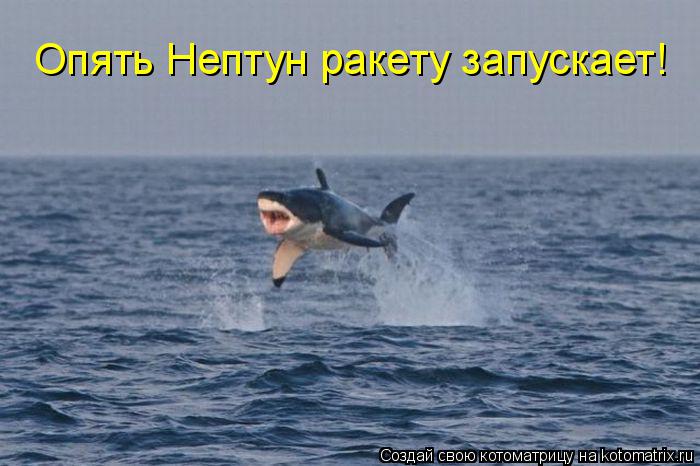 Котоматрица: Опять Нептун ракету запускает!