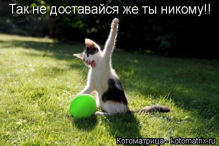 Котоматрица: Так не доставайся же ты никому!!