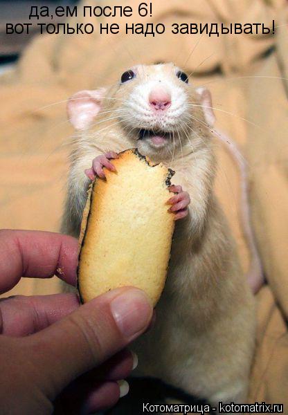 Котоматрица: вот только не надо завидывать! да,ем после 6!