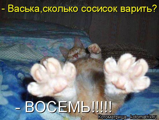 Котоматрица: - Васька,сколько сосисок варить? - ВОСЕМЬ!!!!!