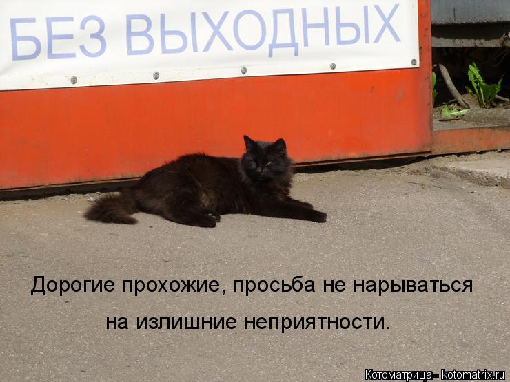Котоматрица: Дорогие прохожие, просьба не нарываться на излишние неприятности.