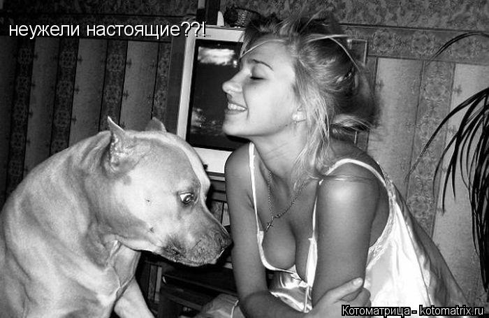 Котоматрица: неужели настоящие??!