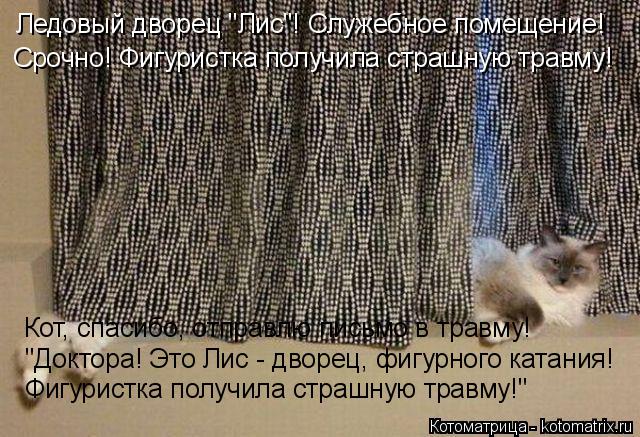 Котоматрица: Ледовый дворец "Лис"! Служебное помещение! Срочно! Фигуристка получила страшную травму! Кот, спасибо, отправлю письмо в травму! "Доктора! Это 