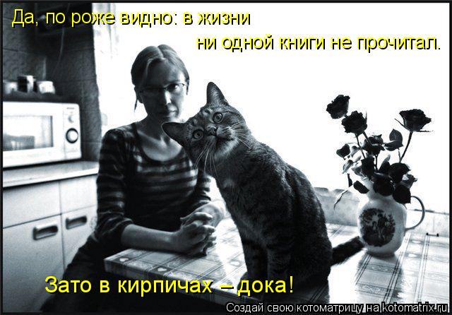 Да, по роже видно: в жизни ни одной книги не прочитал. Зато в кирпичах – дока!... Котоматрица: Да, по роже видно: в жизни ни одной книги не прочитал. Зато в кирпичах – дока!