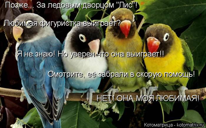 Котоматрица: Позже... За ледовым дворцом "Лис"! Любимая фигуристка выиграет? Я не знаю! Но уверен что она выиграет!! Смотрите, её забрали в скорую помощь! НЕ