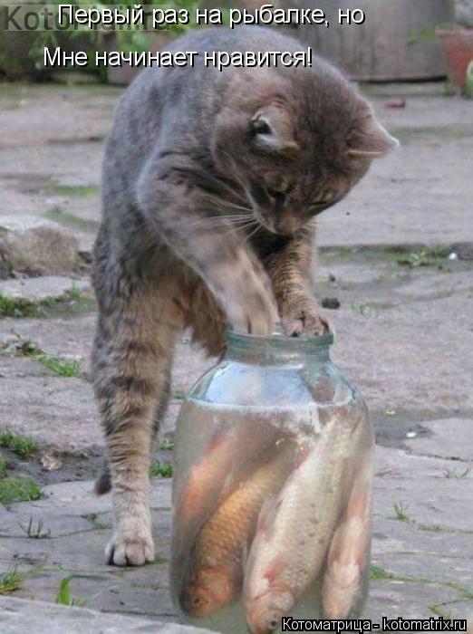 Котоматрица: Первый раз на рыбалке, но Мне начинает нравится!