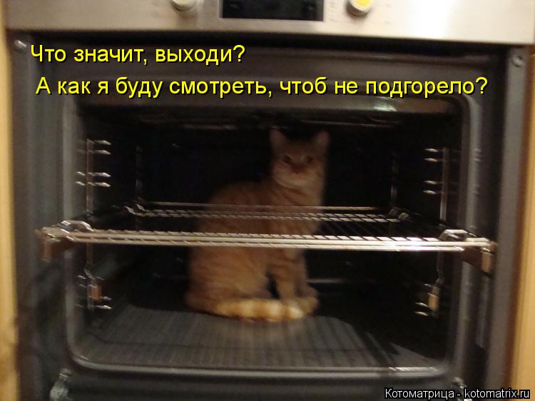 А как я буду смотреть, чтоб не подгорело? Что значит, выходи?... Котоматрица: А как я буду смотреть, чтоб не подгорело? Что значит, выходи?