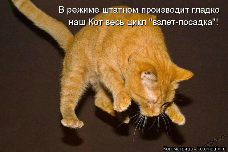 В режиме штатном производит гладко наш Кот весь цикл "взлет-посадка"!... Котоматрица: В режиме штатном производит гладко наш Кот весь цикл "взлет-посадка"!