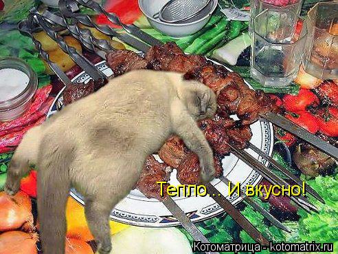 Котоматрица: Тепло... И вкусно!