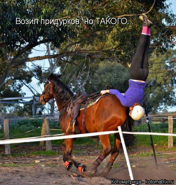 Возил придурков, но ТАКОГО...... Котоматрица: Возил придурков, но ТАКОГО...
